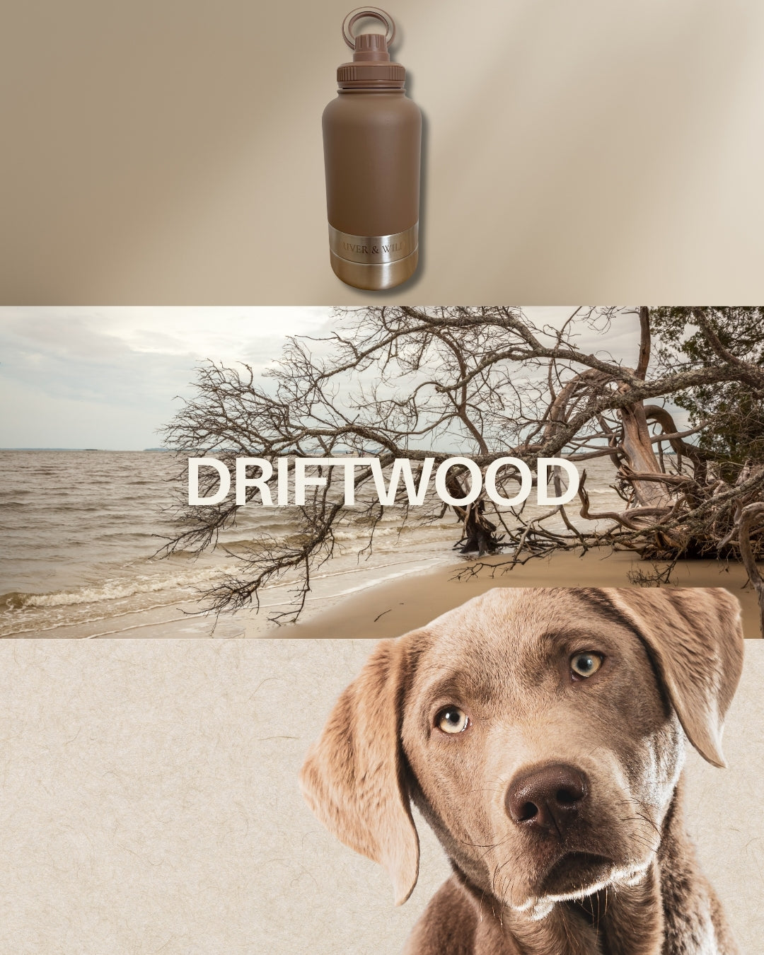BARK & BOTTLE 3-in-1 Pet Travel Bottle - DRIFTWOOD