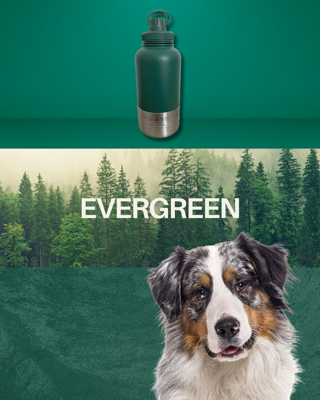 BARK & BOTTLE 3-in-1 Pet Travel Bottle - Evergreen