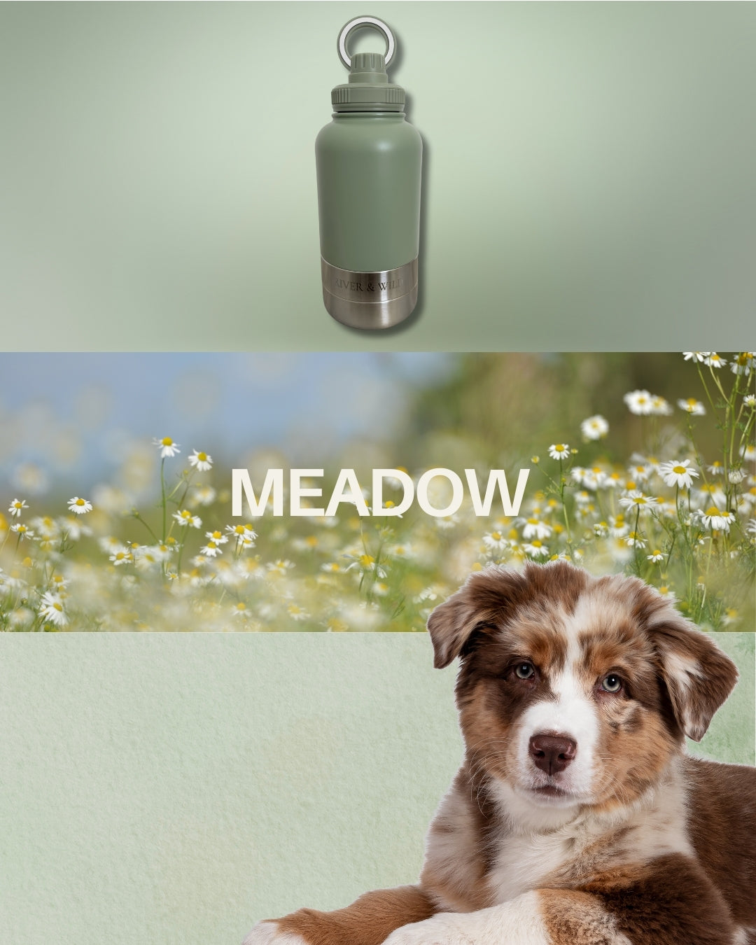 BARK & BOTTLE 3-in-1 Pet Travel Bottle - MEADOW