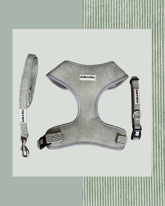 WOODLAND SAGE HARNESS SET