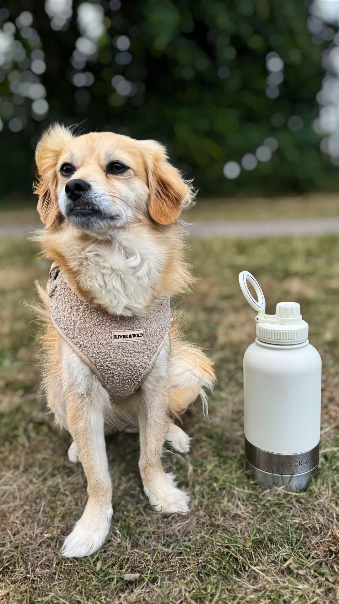 BARK & BOTTLE 3-in-1 Pet Travel Bottle - Sandstone