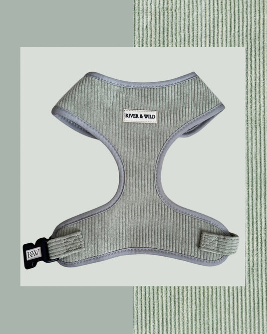 WOODLAND SAGE ADJUSTABLE HARNESS