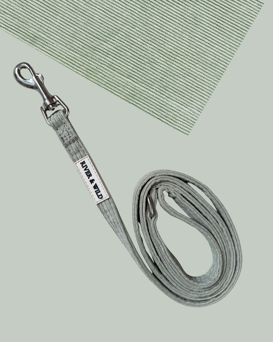 WOODLAND SAGE LEAD