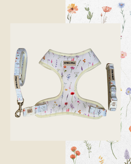 WILD BLOOM HARNESS SET