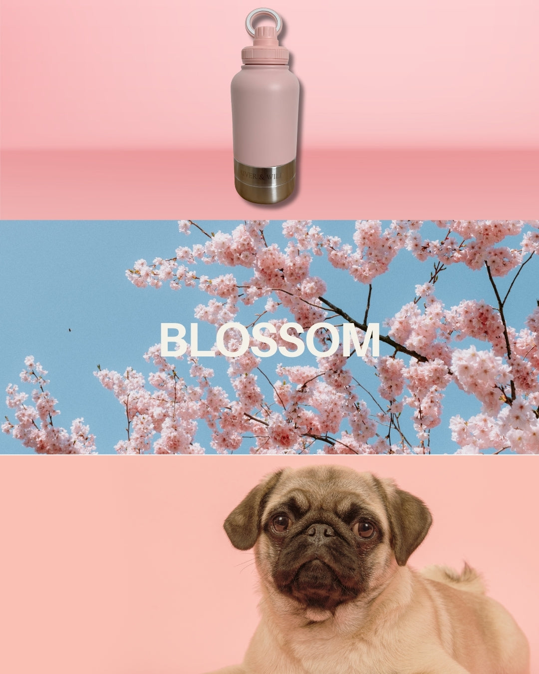 BARK & BOTTLE 3-in-1 Pet Travel Bottle - Blossom