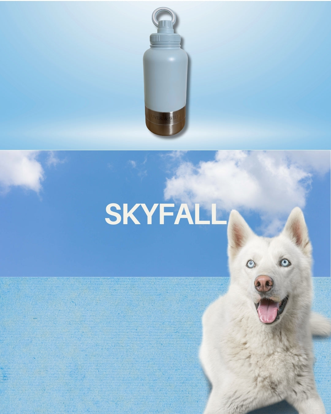 BARK & BOTTLE 3-in-1 Pet Travel Bottle - SKYFALL
